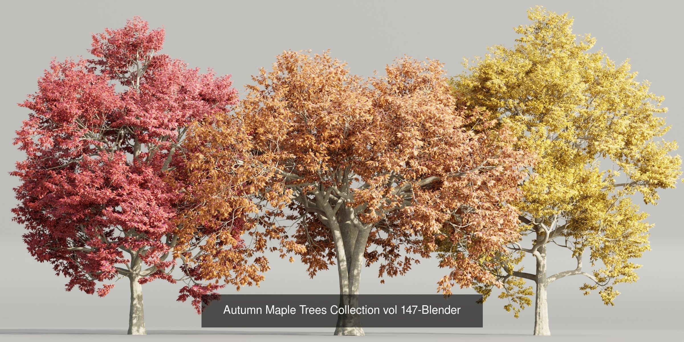Ultimate 3D Tree Collection Over 100Types _35