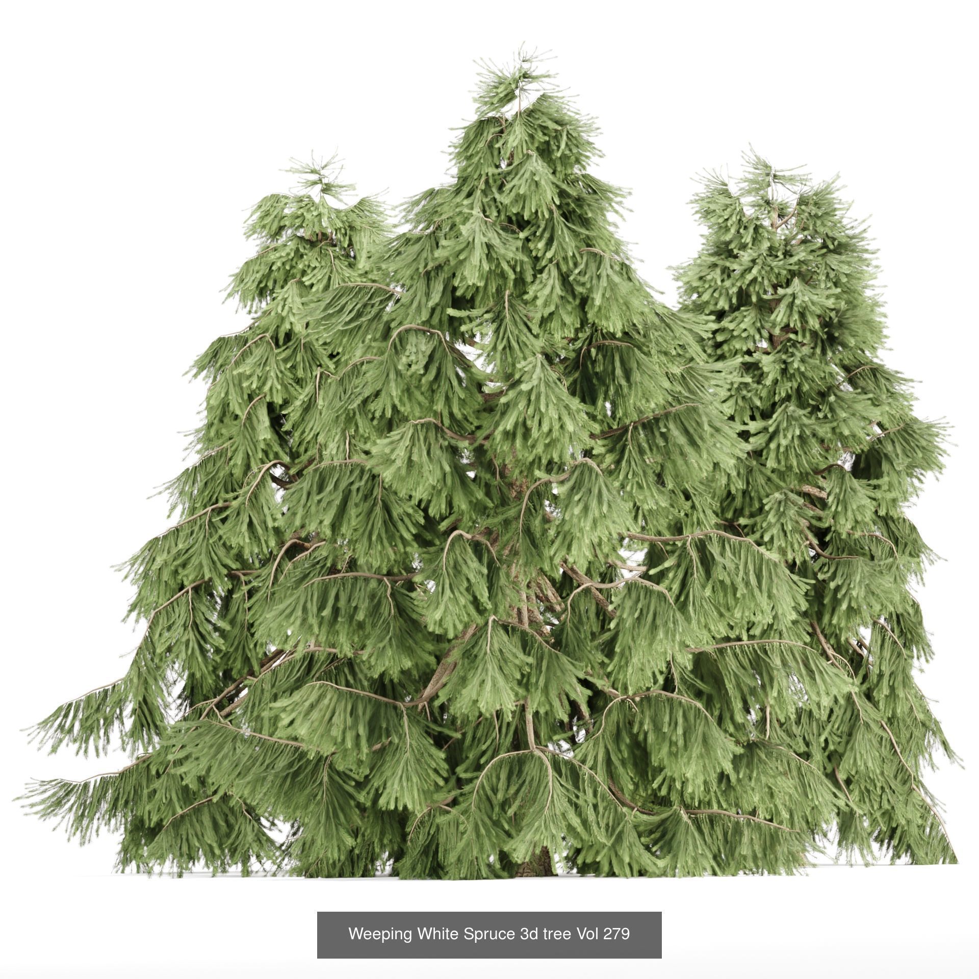 Ultimate 3D Tree Collection Over 100Types _64