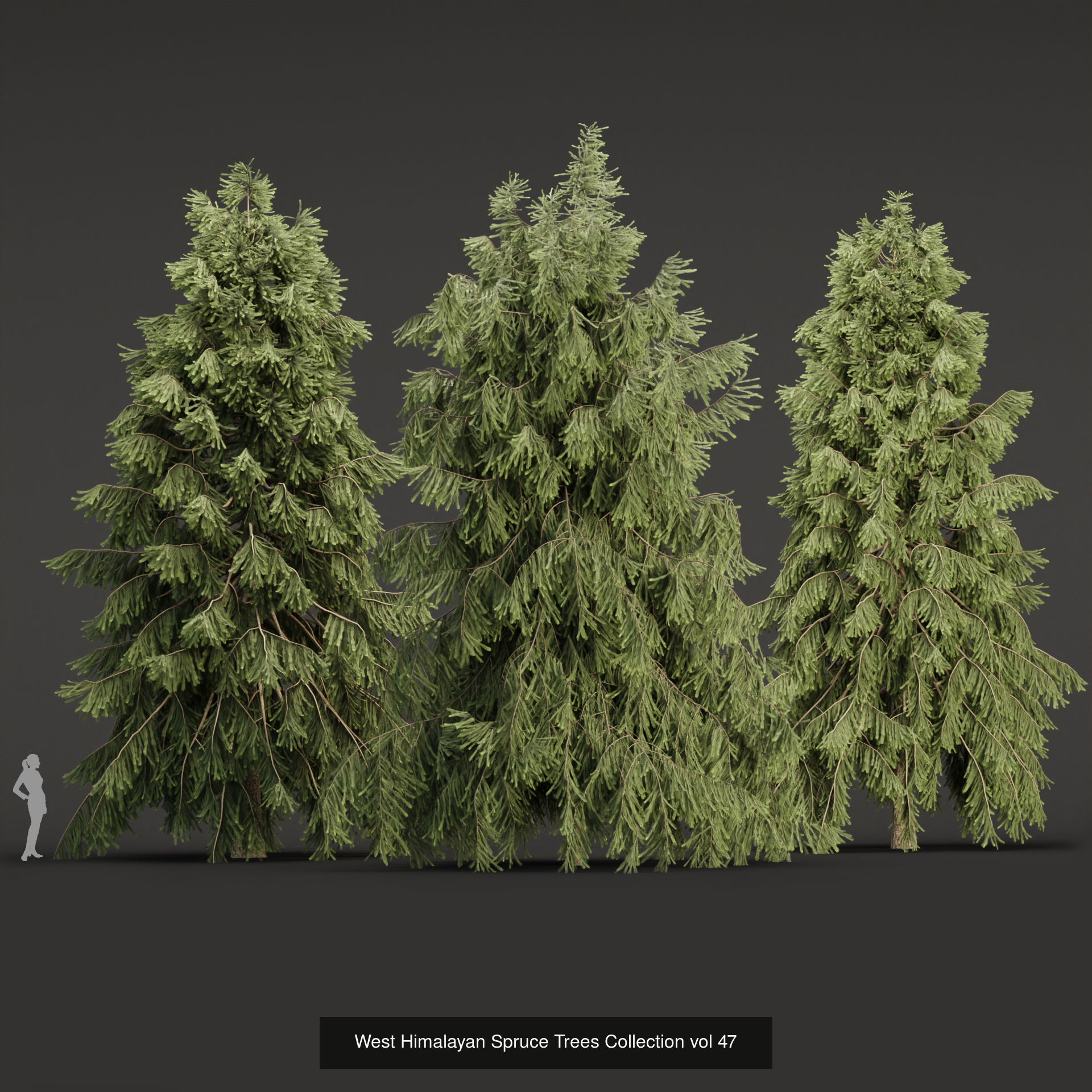 Ultimate 3D Tree Collection Over 100Types _60