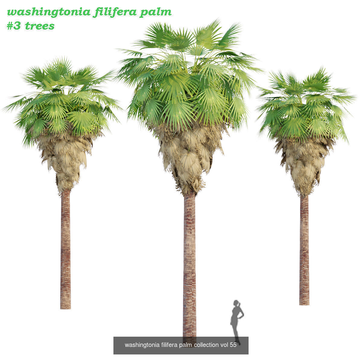 Ultimate 3D Tree Collection Over 100Types _4