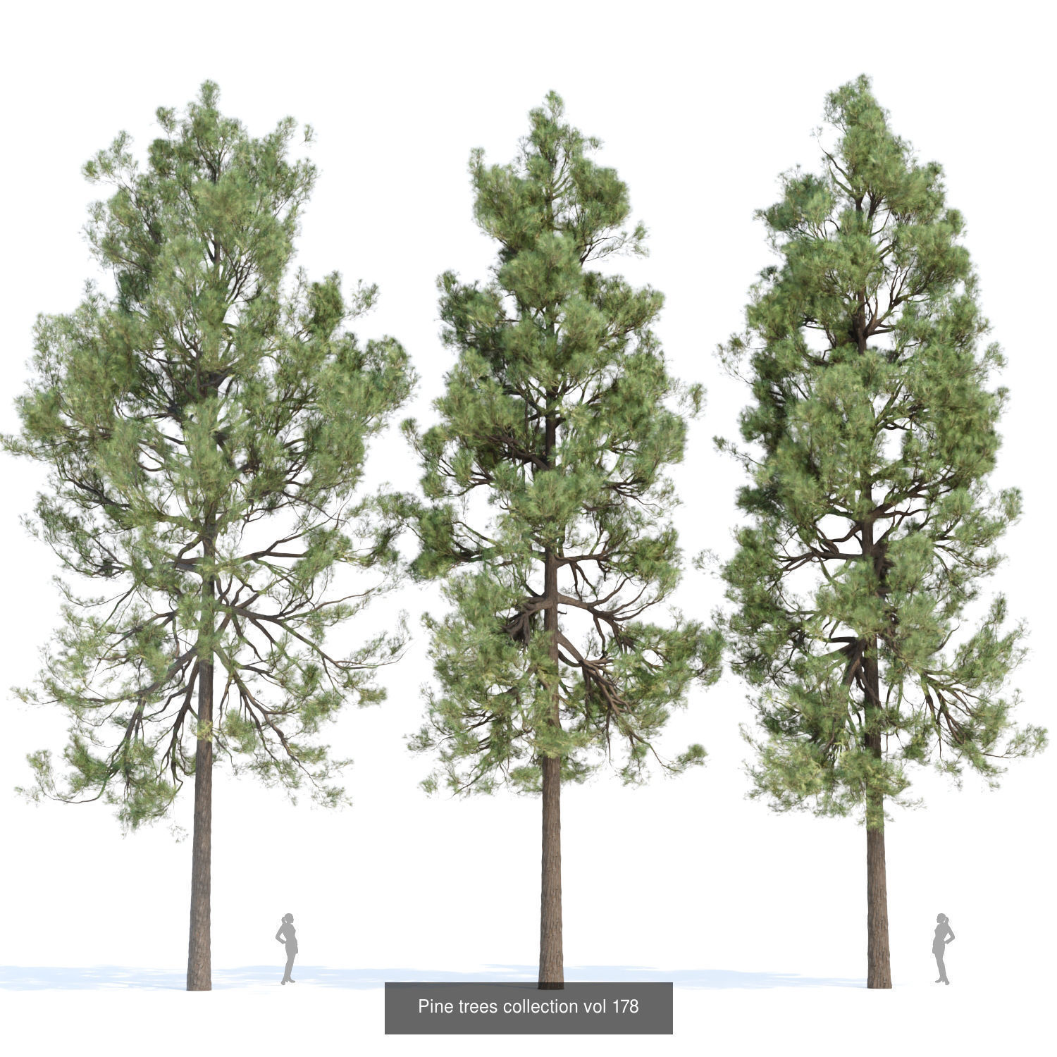 Ultimate 3D Tree Collection Over 100Types _14