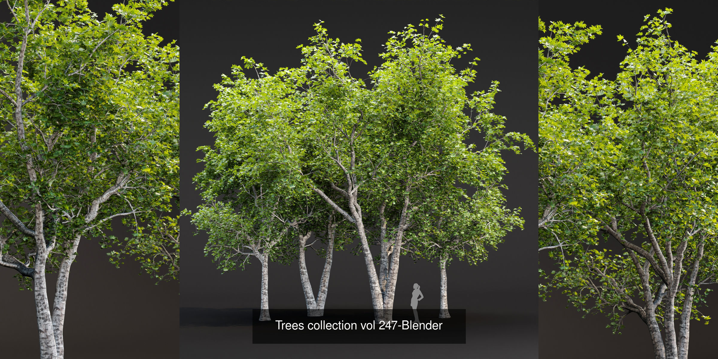 Ultimate 3D Tree Collection Over 100Types _53