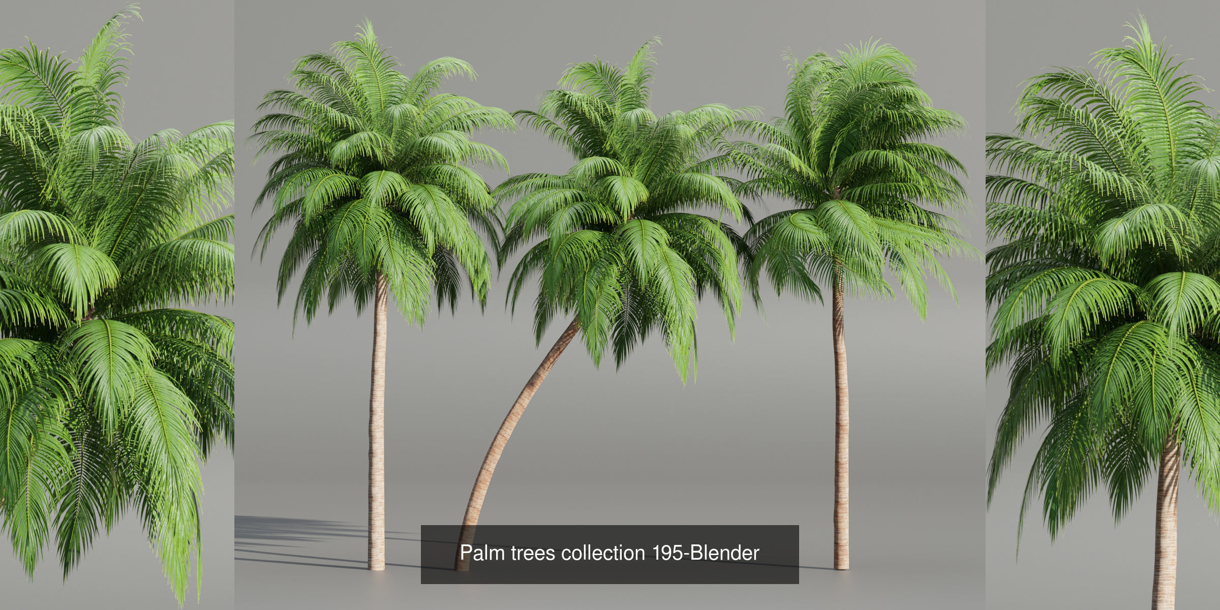 Ultimate 3D Tree Collection Over 100Types _39