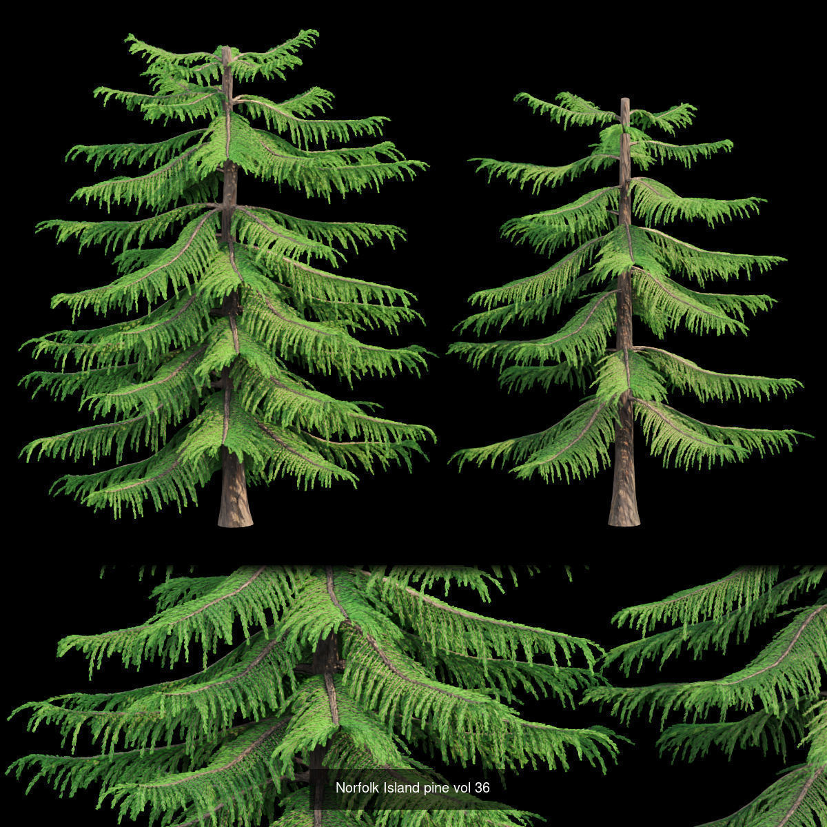 Ultimate 3D Tree Collection Over 100Types _3