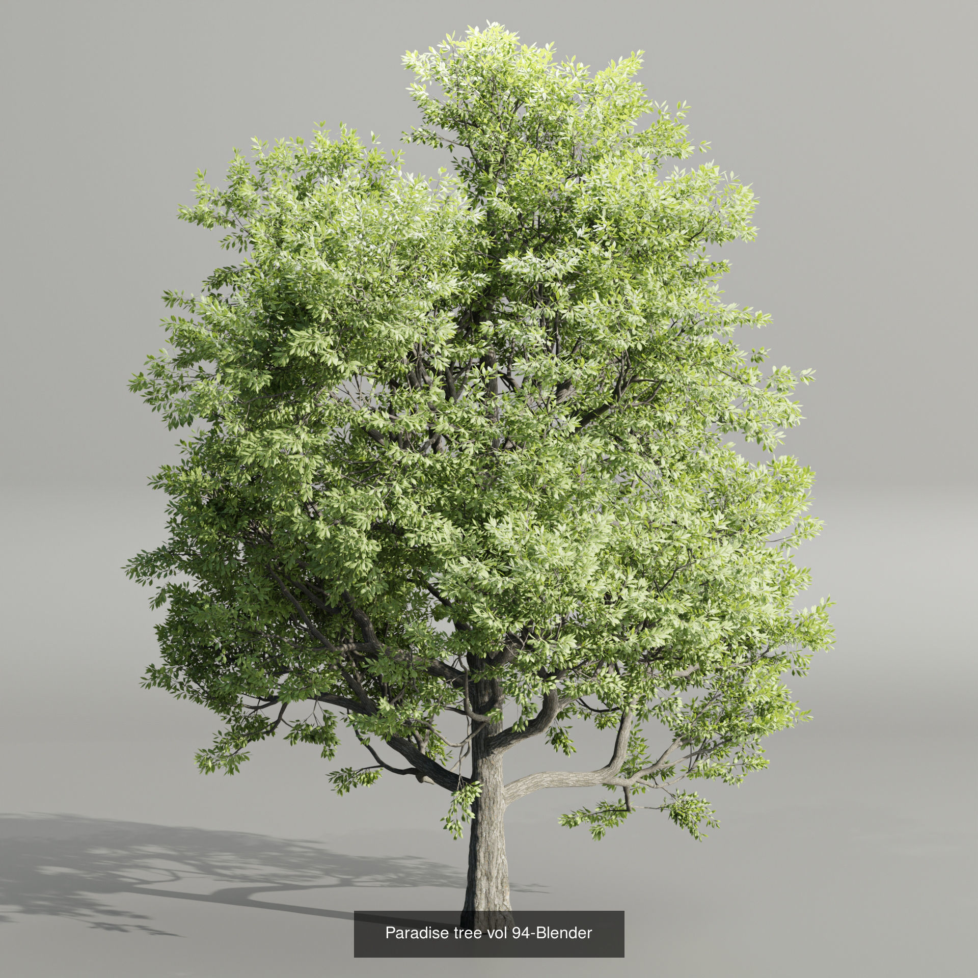 Ultimate 3D Tree Collection Over 100Types _28