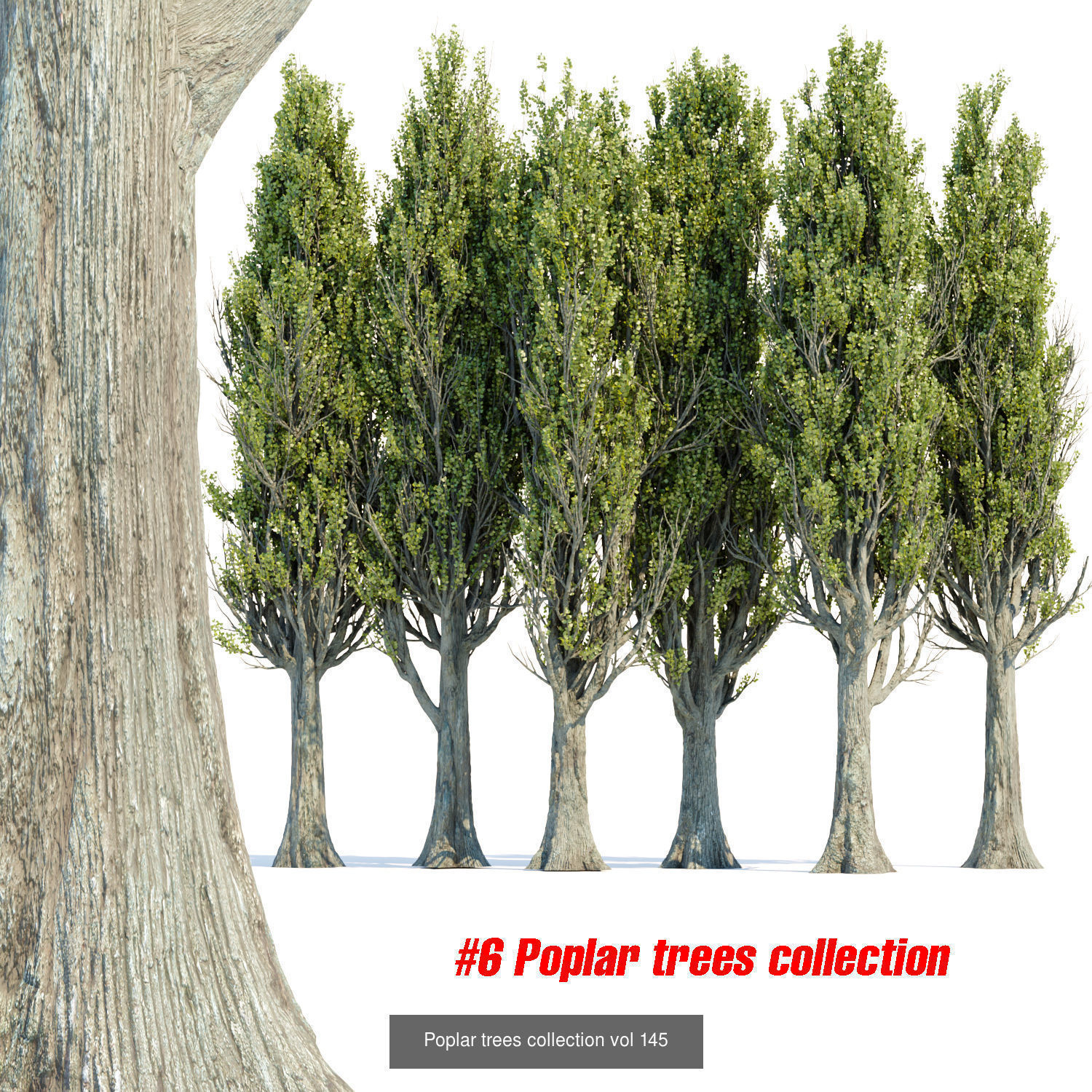 Ultimate 3D Tree Collection Over 100Types _11