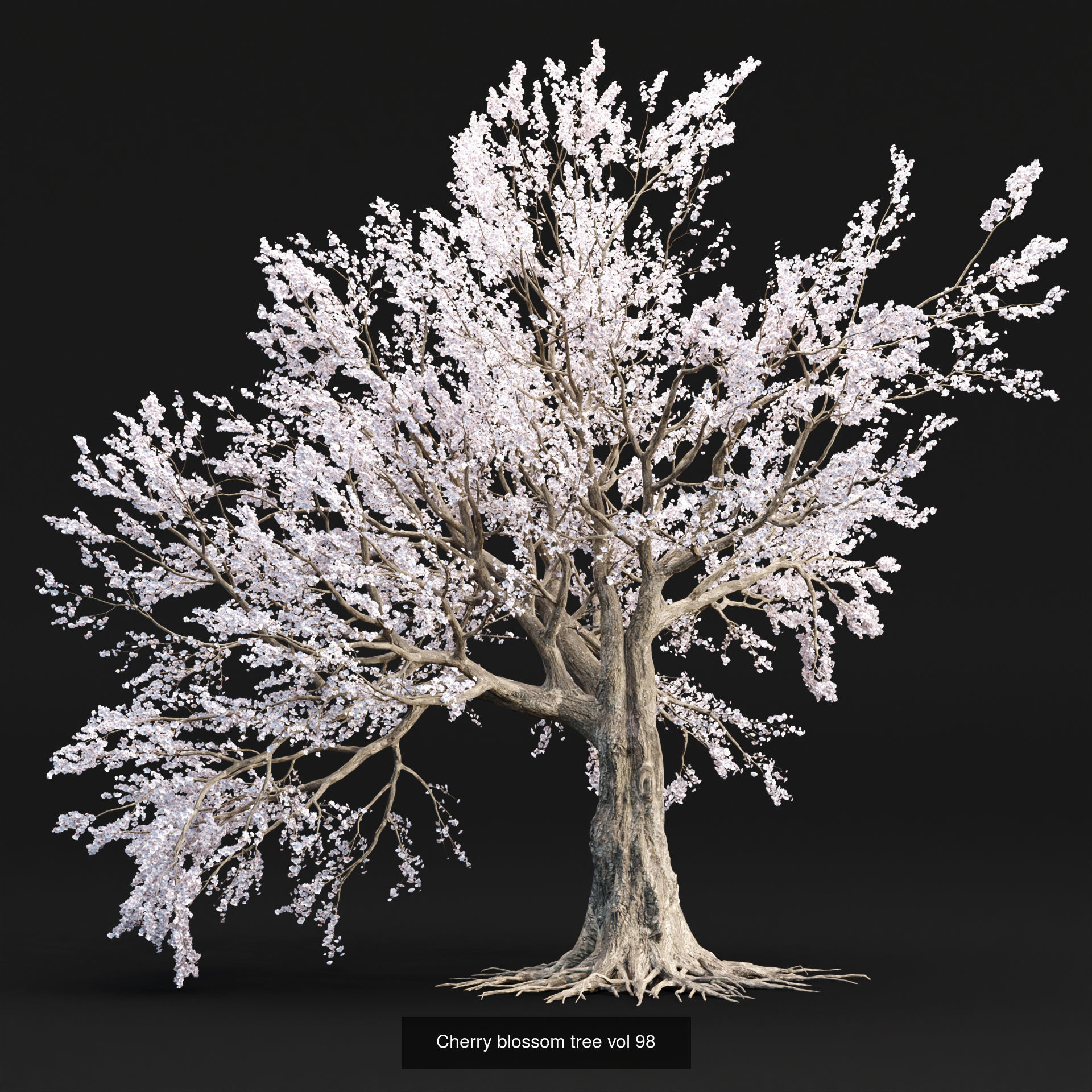 Ultimate 3D Tree Collection Over 100Types _57
