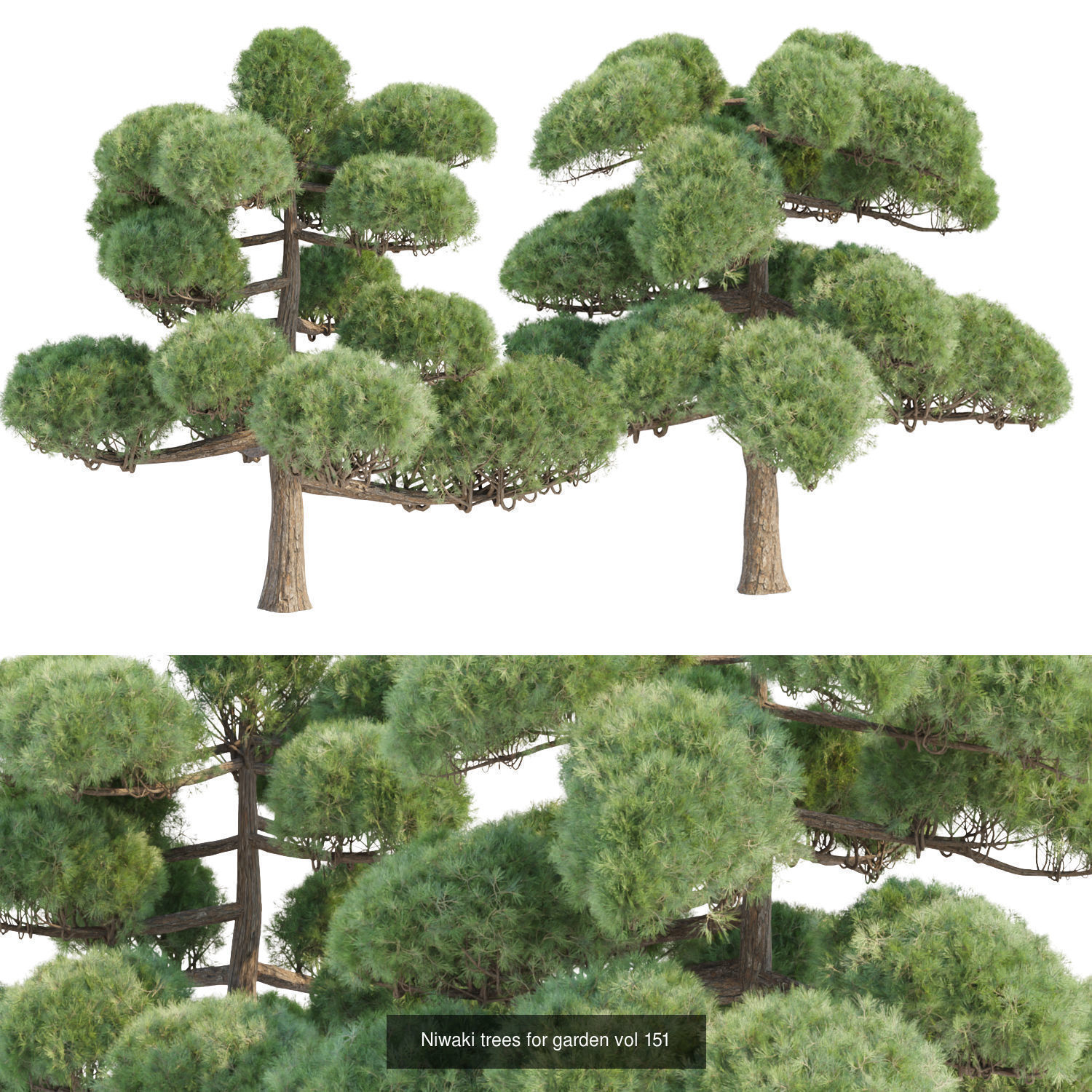 Ultimate 3D Tree Collection Over 100Types _13