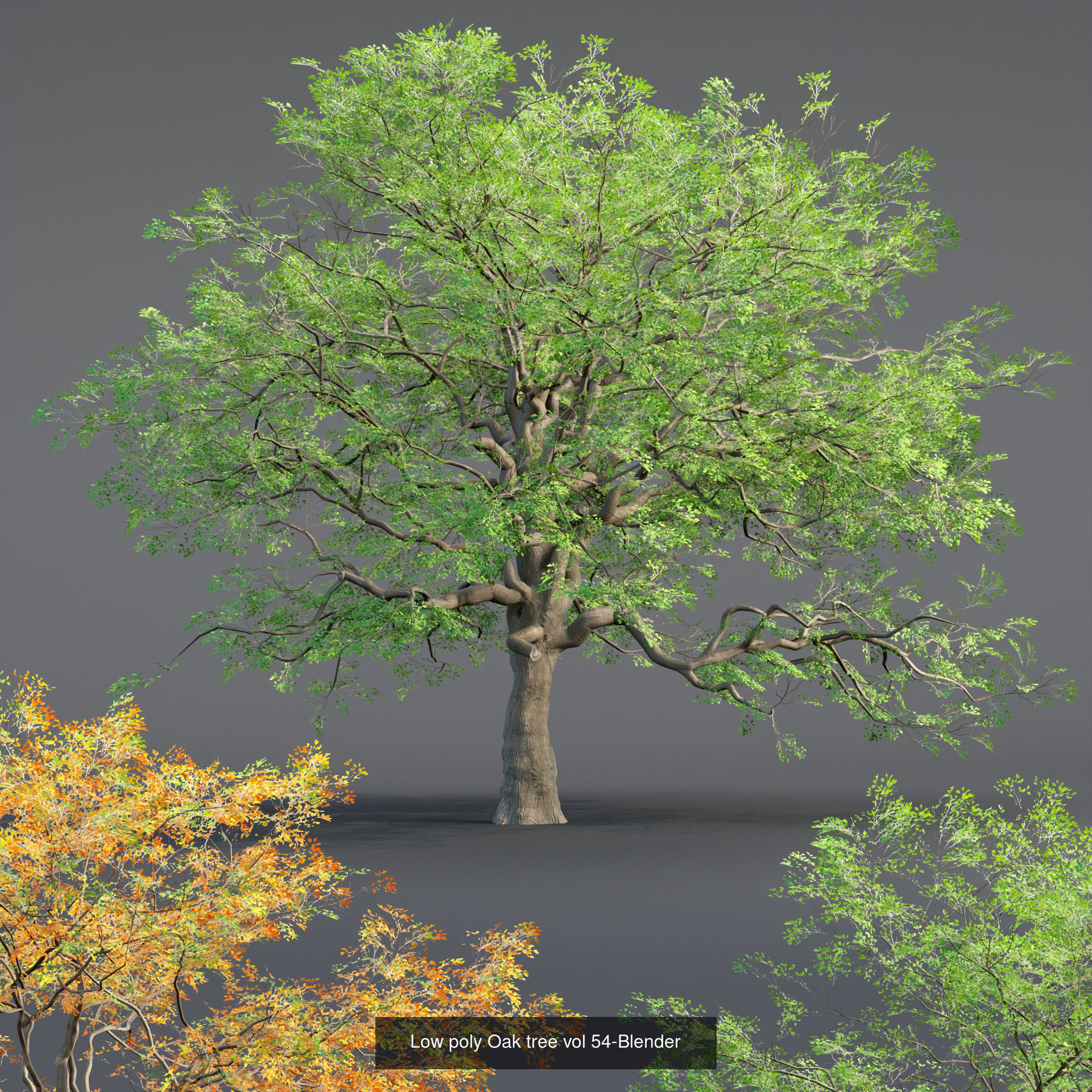 Ultimate 3D Tree Collection Over 100Types _59