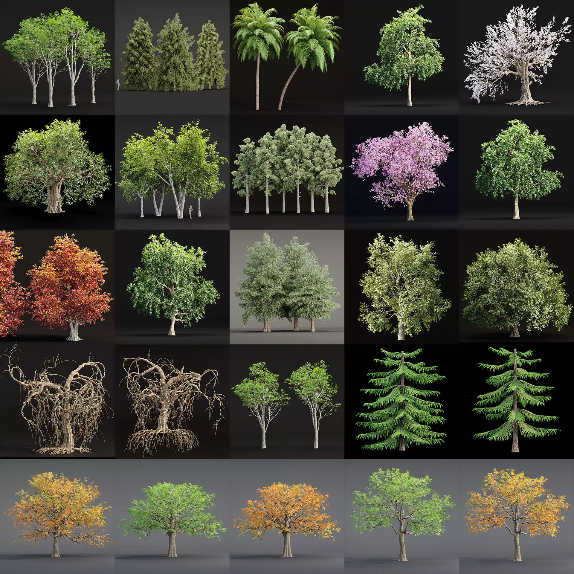 Ultimate 3D Tree Collection Over 100Types _0