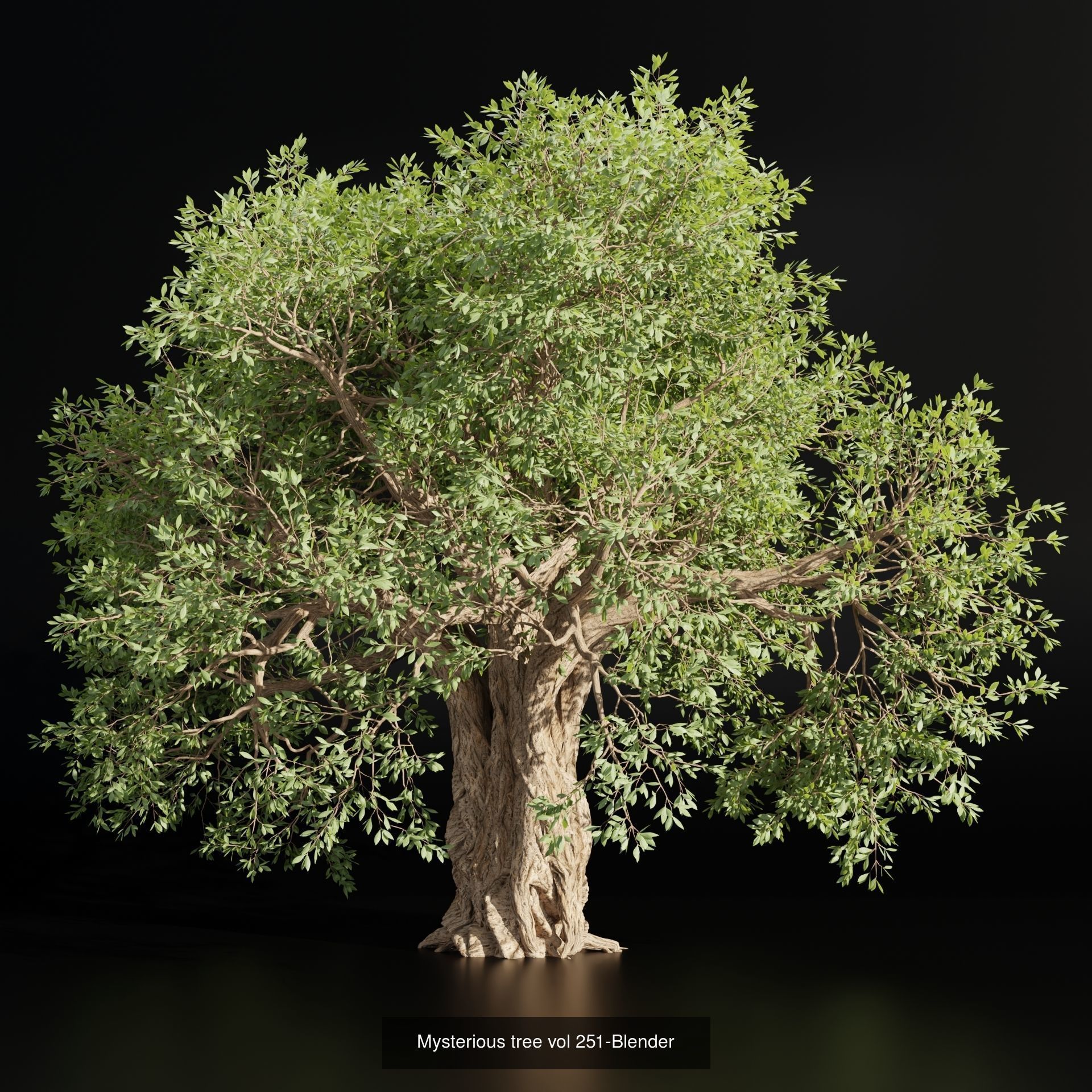 Ultimate 3D Tree Collection Over 100Types _54