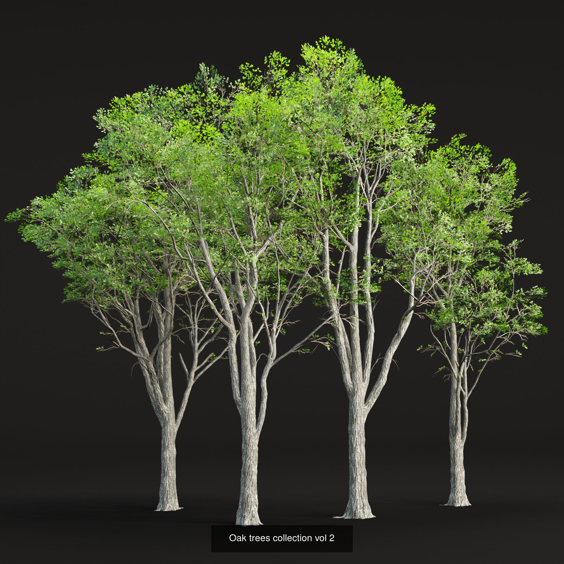 Ultimate 3D Tree Collection Over 100Types _62