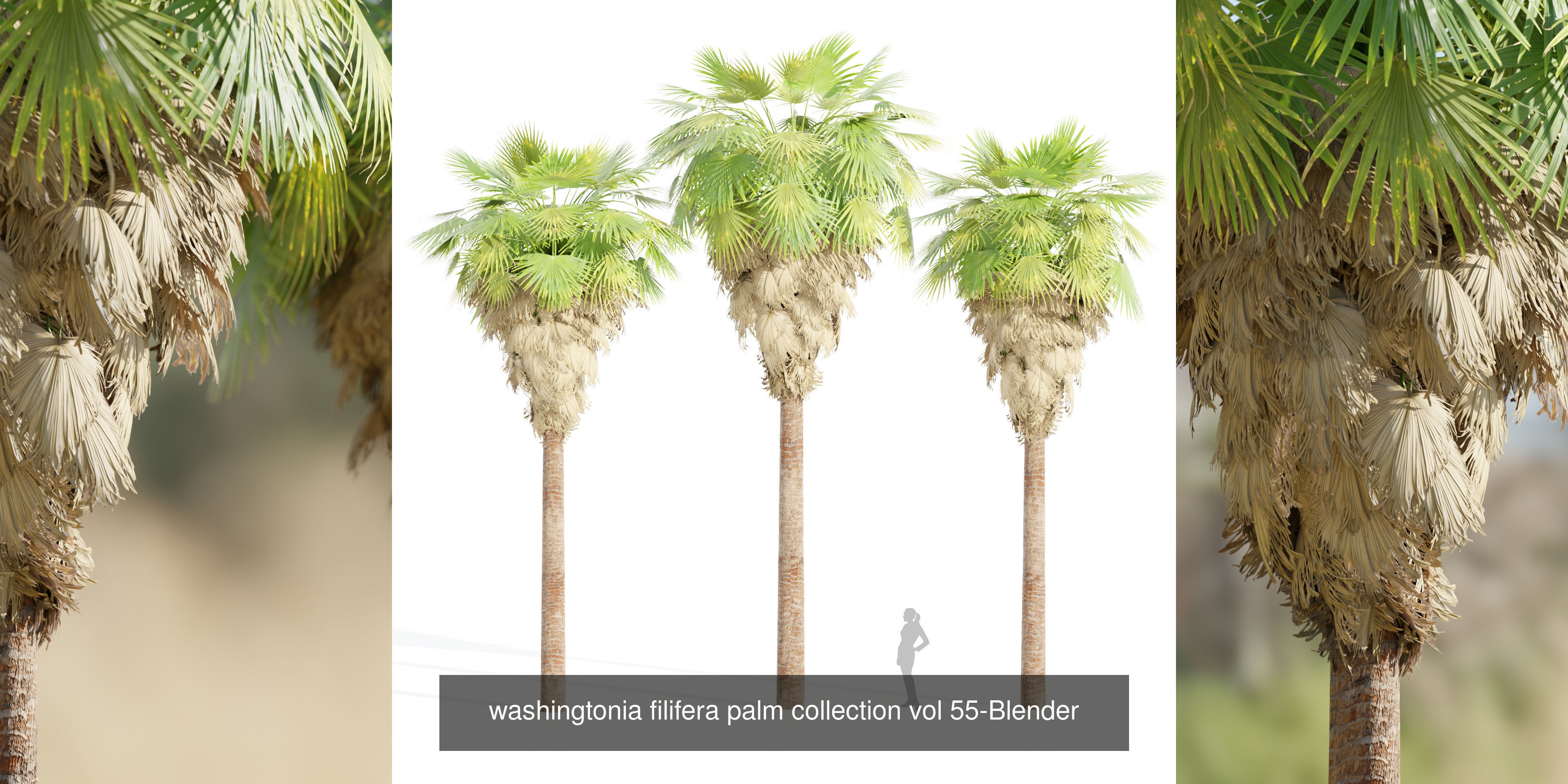 Ultimate 3D Tree Collection Over 100Types _24