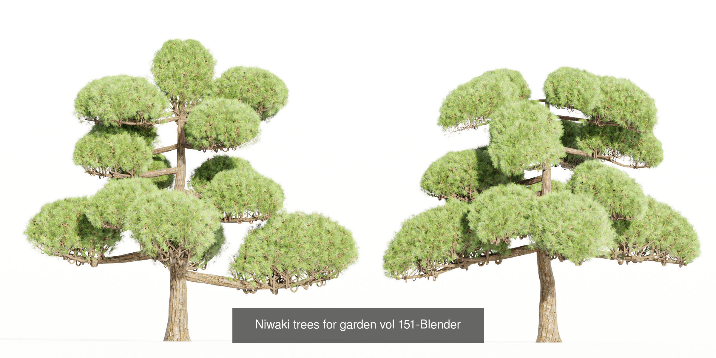 Ultimate 3D Tree Collection Over 100Types _36