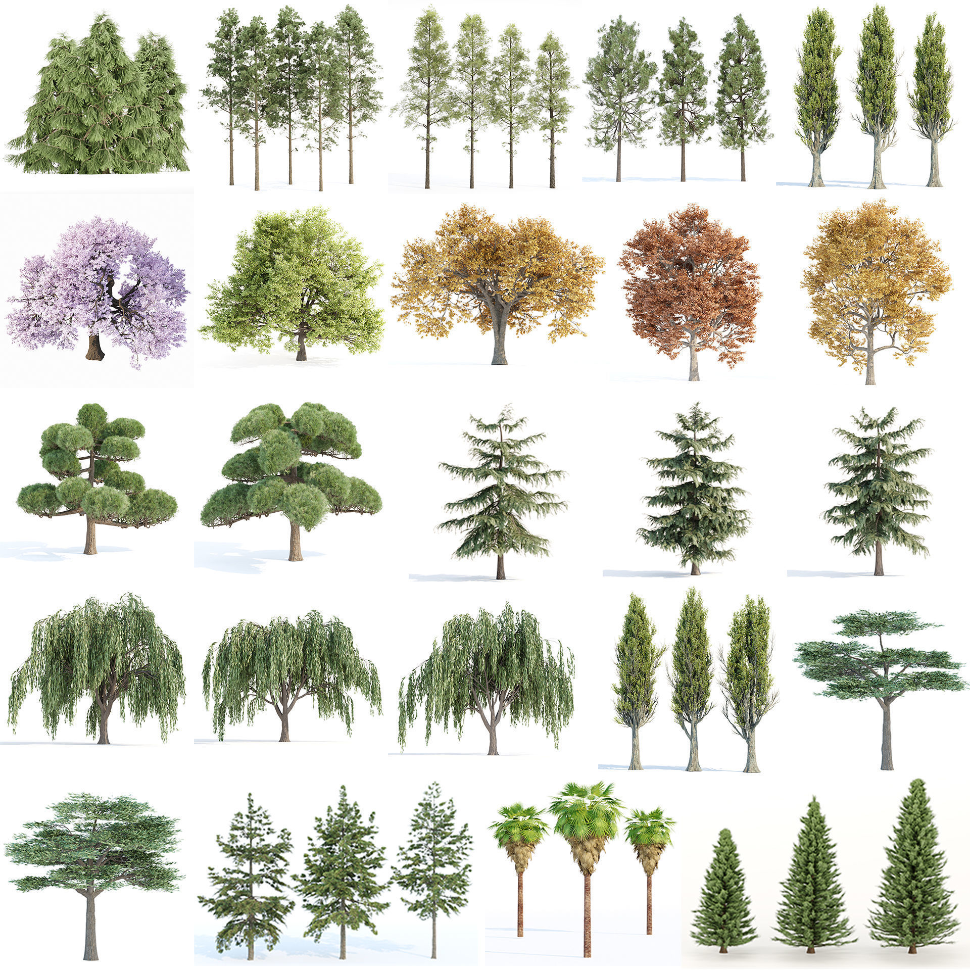 Ultimate 3D Tree Collection Over 100Types _1