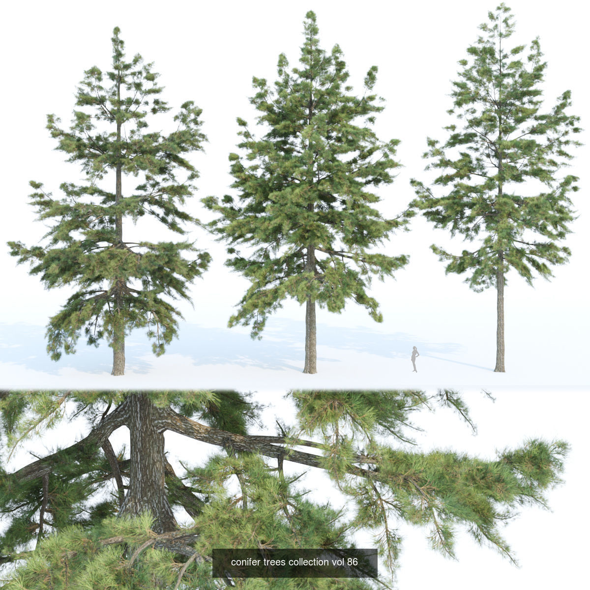 Ultimate 3D Tree Collection Over 100Types _5