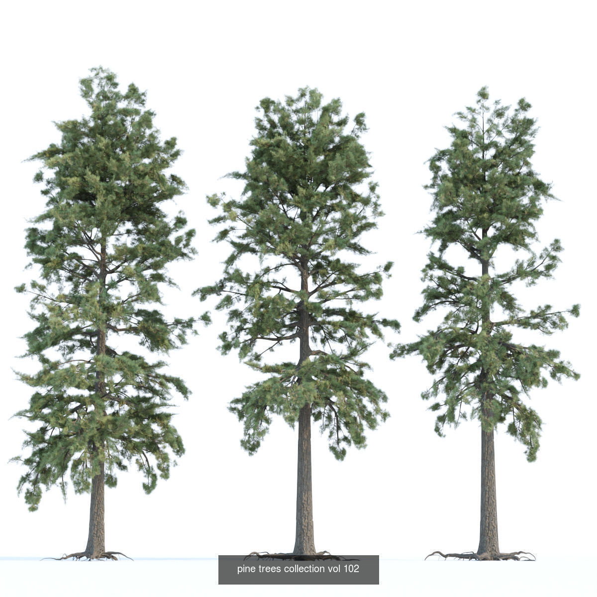 Ultimate 3D Tree Collection Over 100Types _8