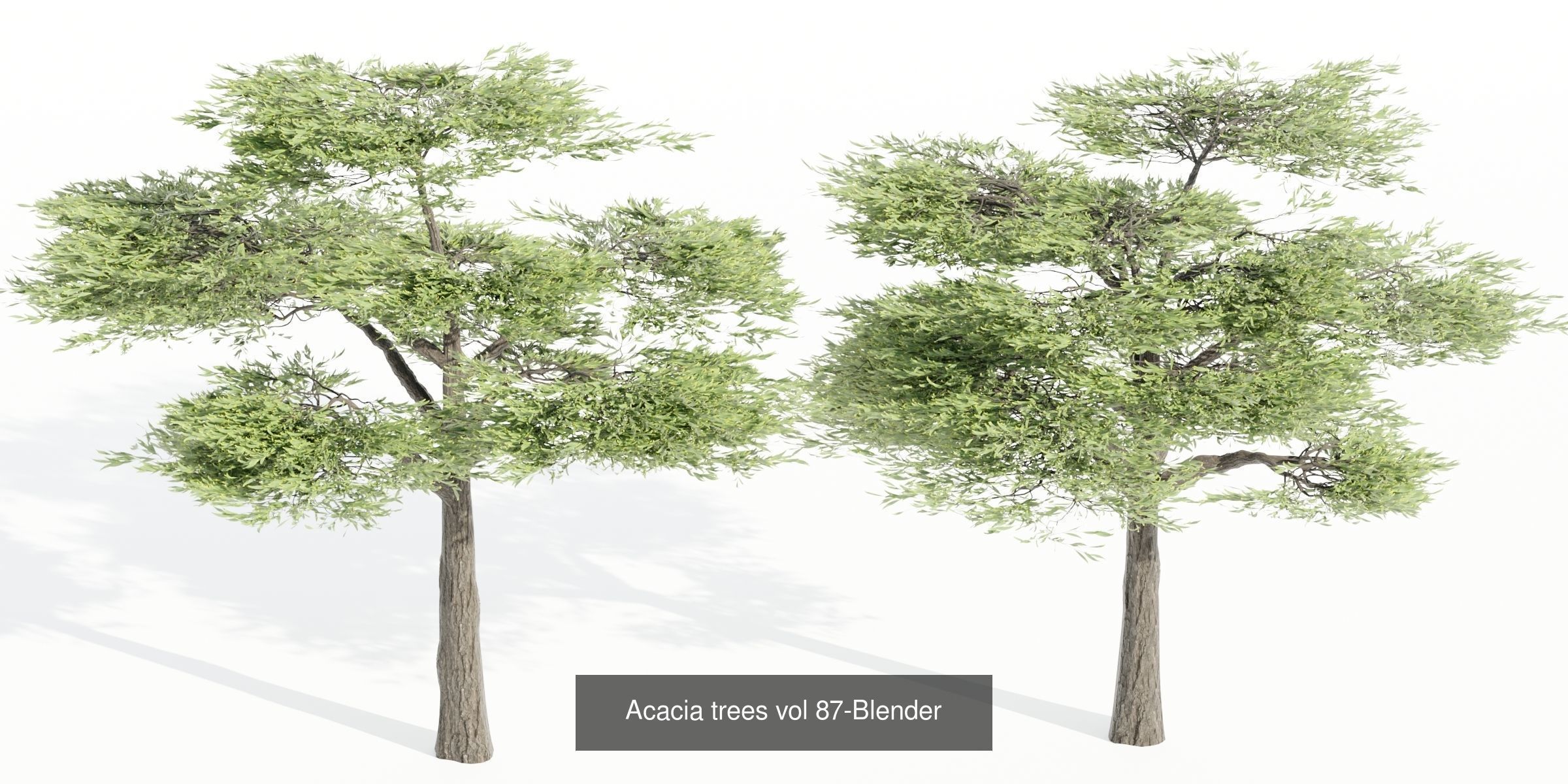 Ultimate 3D Tree Collection Over 100Types _27