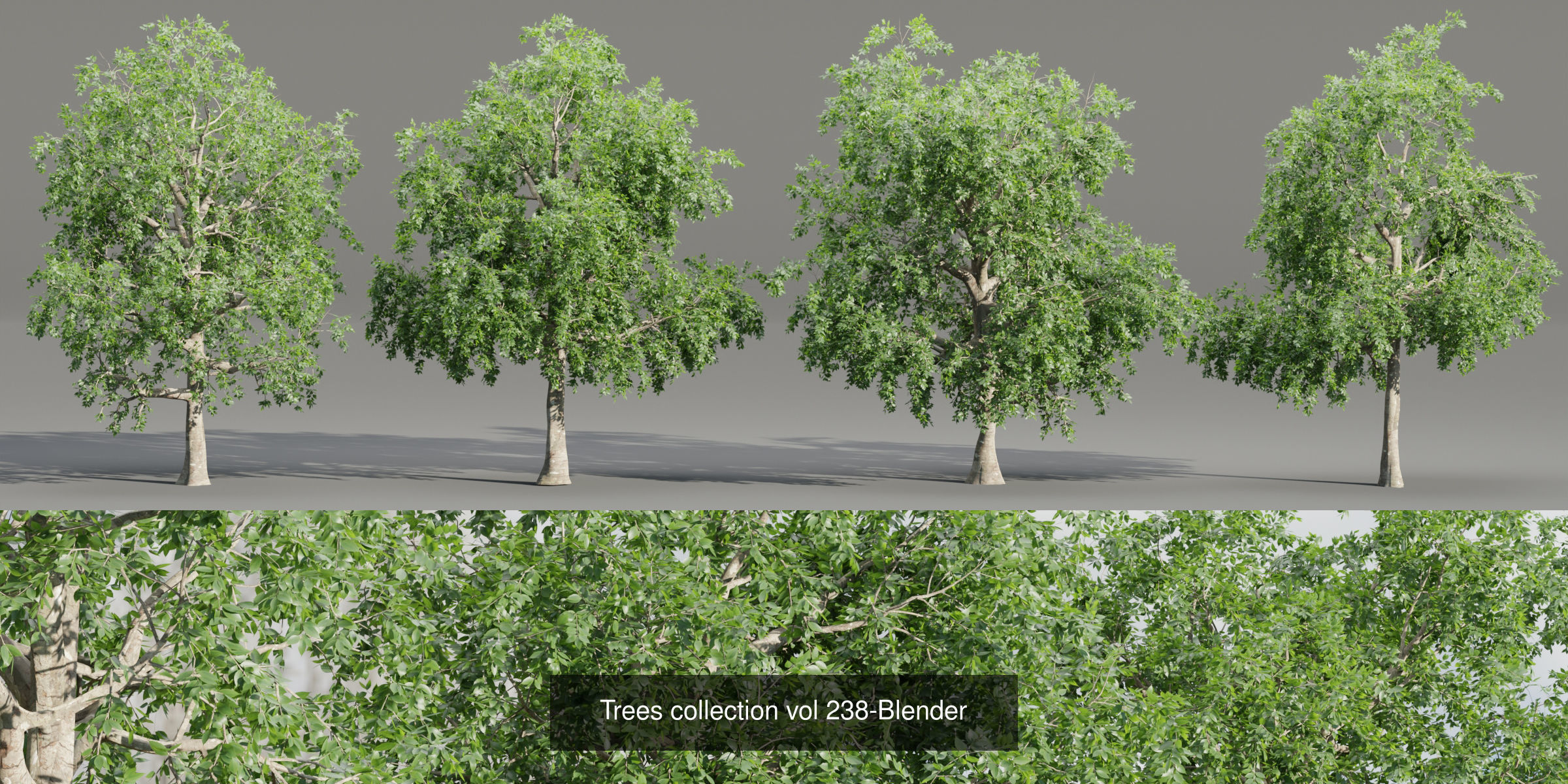 Ultimate 3D Tree Collection Over 100Types _50