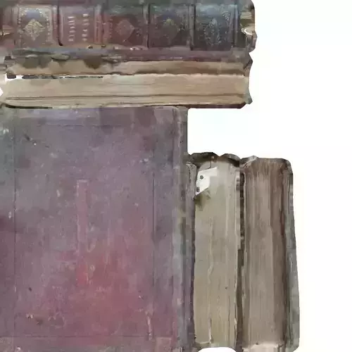 Livre Religieux Bake Retopo Polycam