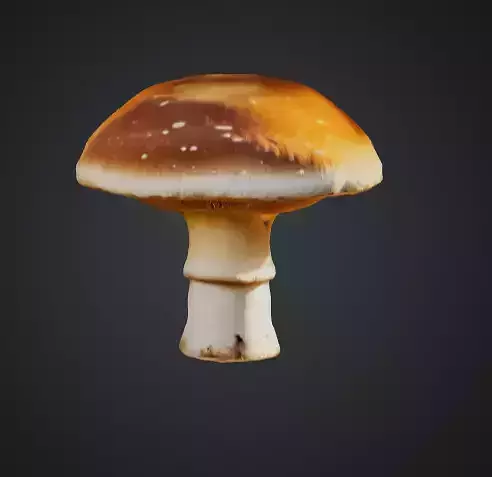 Realistic 3D Mushroom Model 