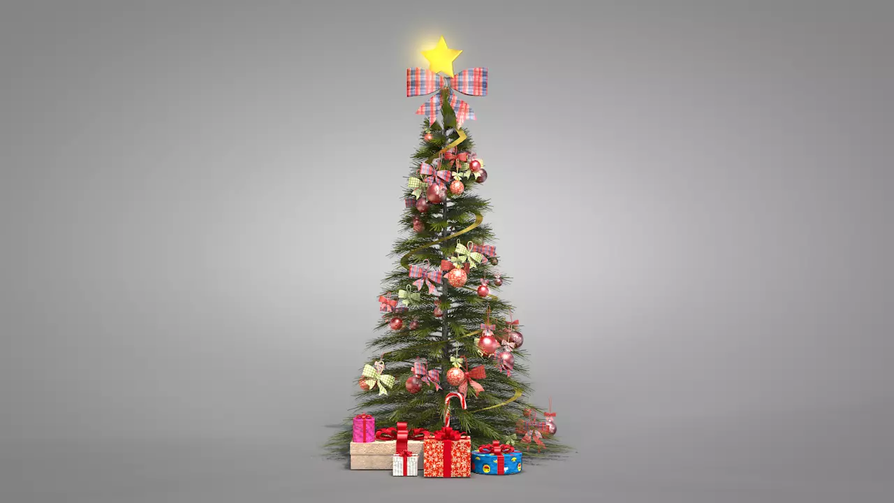 Christmas Pine Tree  3D model_0