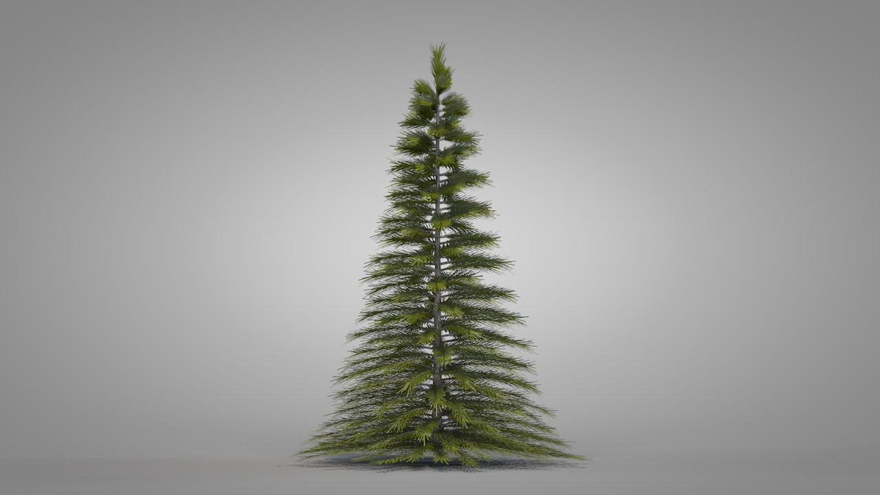 Christmas Pine Tree  3D model_13