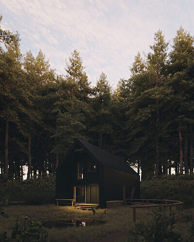 Secluded Forest Cabin 3D model 2