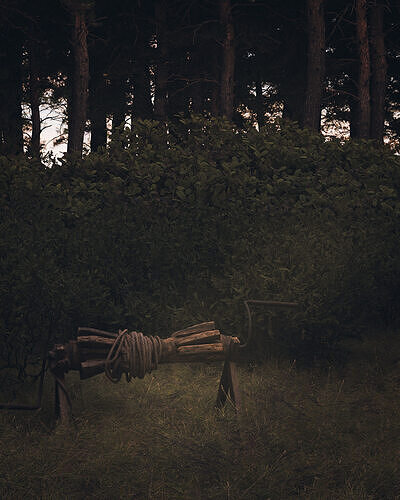 Secluded Forest Cabin 3D model 3