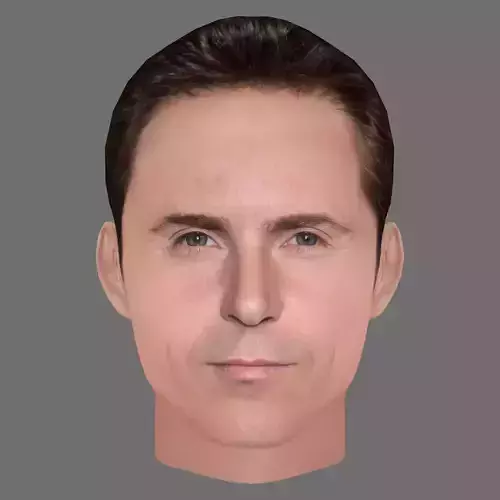 Alessandro Nivola Head - Low poly head for game Low-poly 3D model