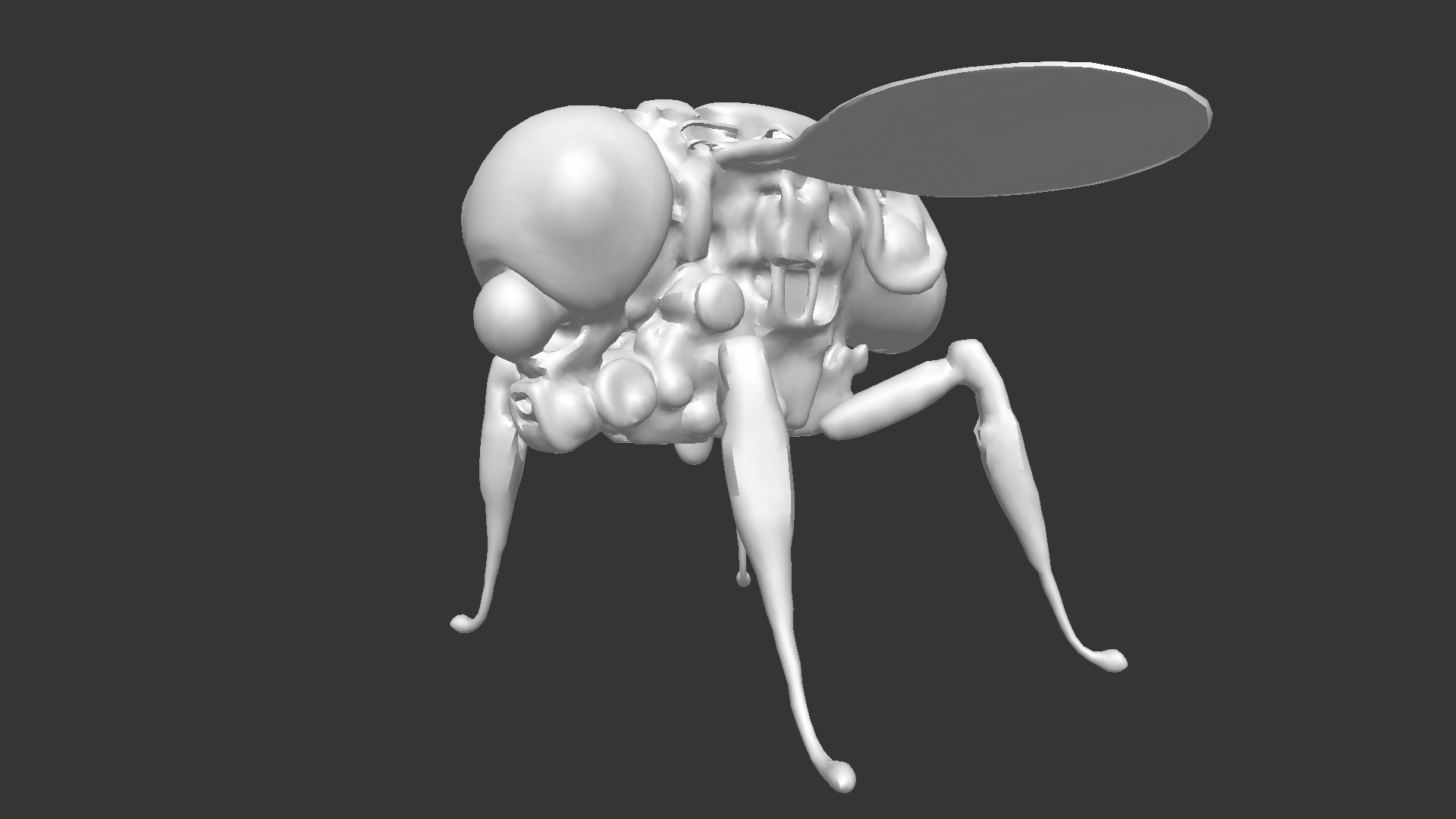 Robotic Fly 3D model_4