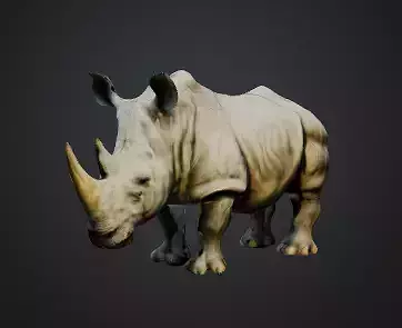 Rhino