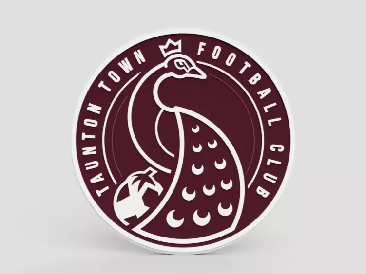 Tauntont town football club logo 3D model