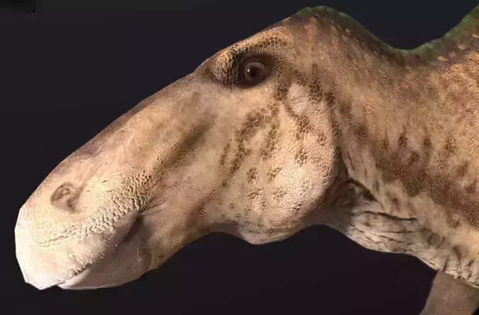 Edmontosaurus annectens Low-poly 3D model