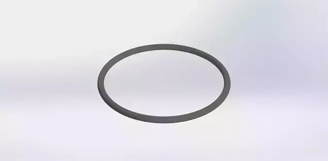 O Ring Vedabras 12889