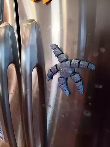 Starfish Magnet - flexi fidget toy
