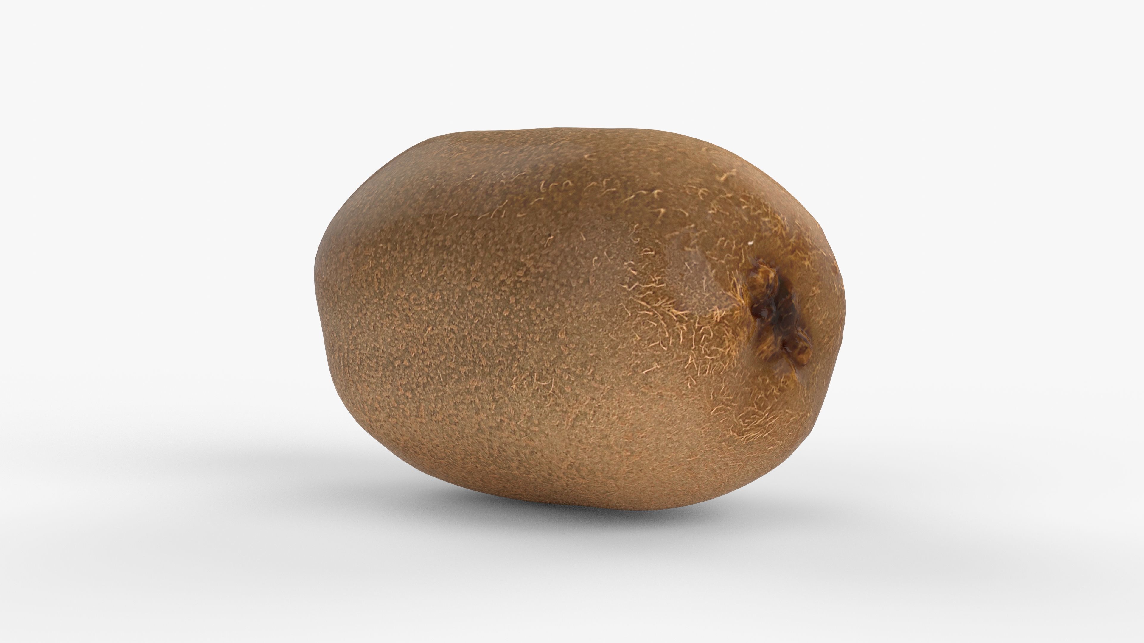 Photorealistic 3D scan of  kiwi Low-poly 3D model_6