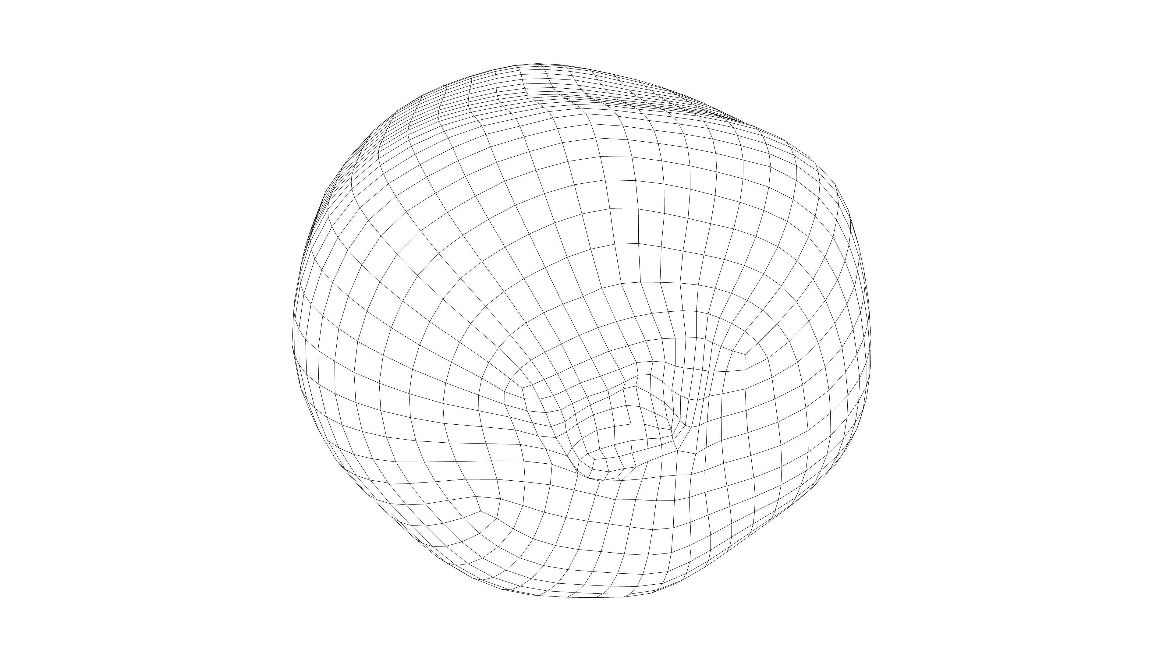 Photorealistic 3D scan of  kiwi Low-poly 3D model_17