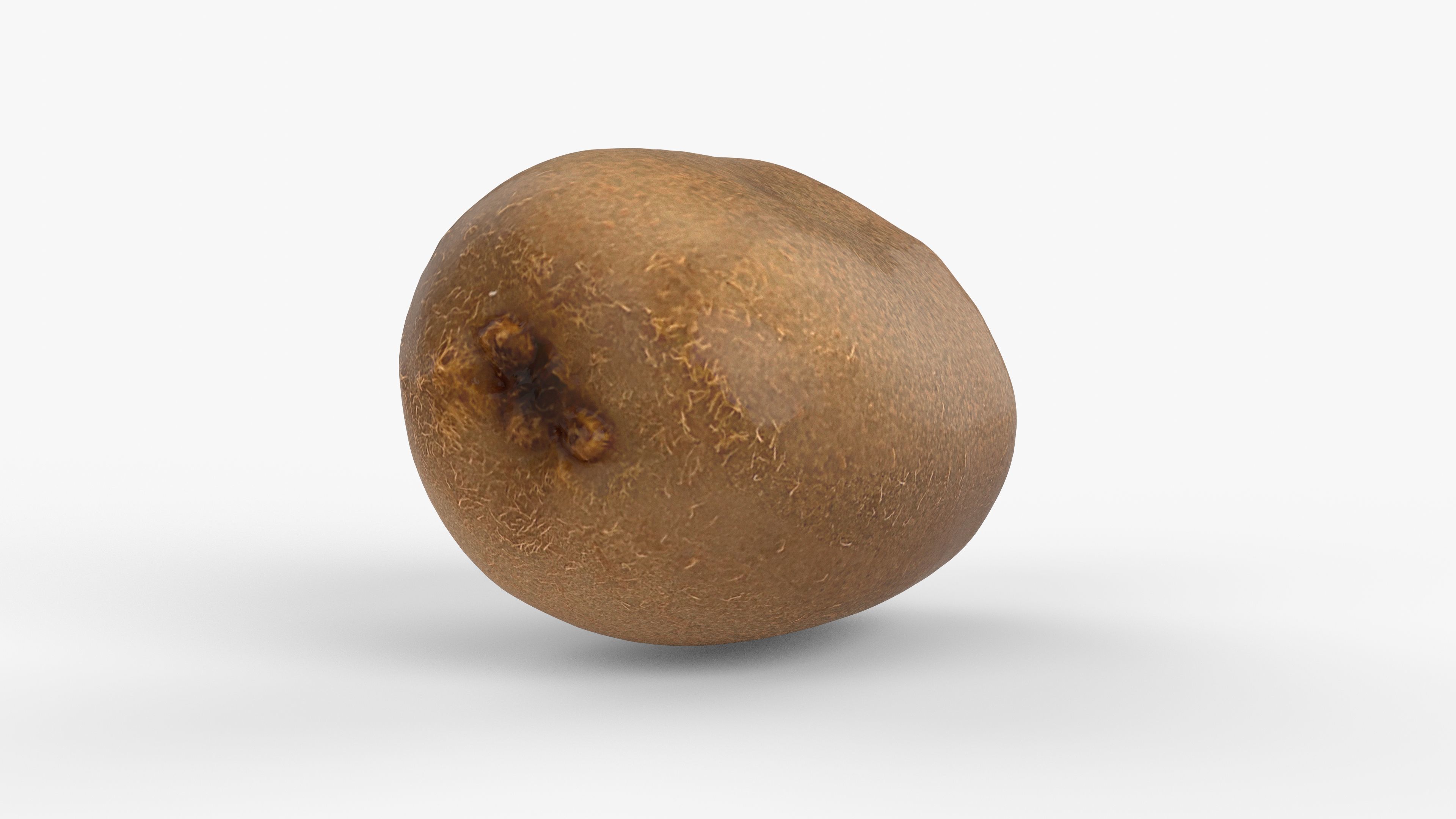 Photorealistic 3D scan of  kiwi Low-poly 3D model_5
