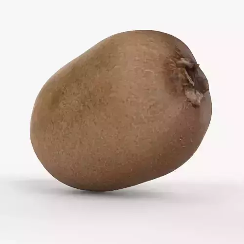 Photorealistic 3D scan of  kiwi Low-poly 3D model