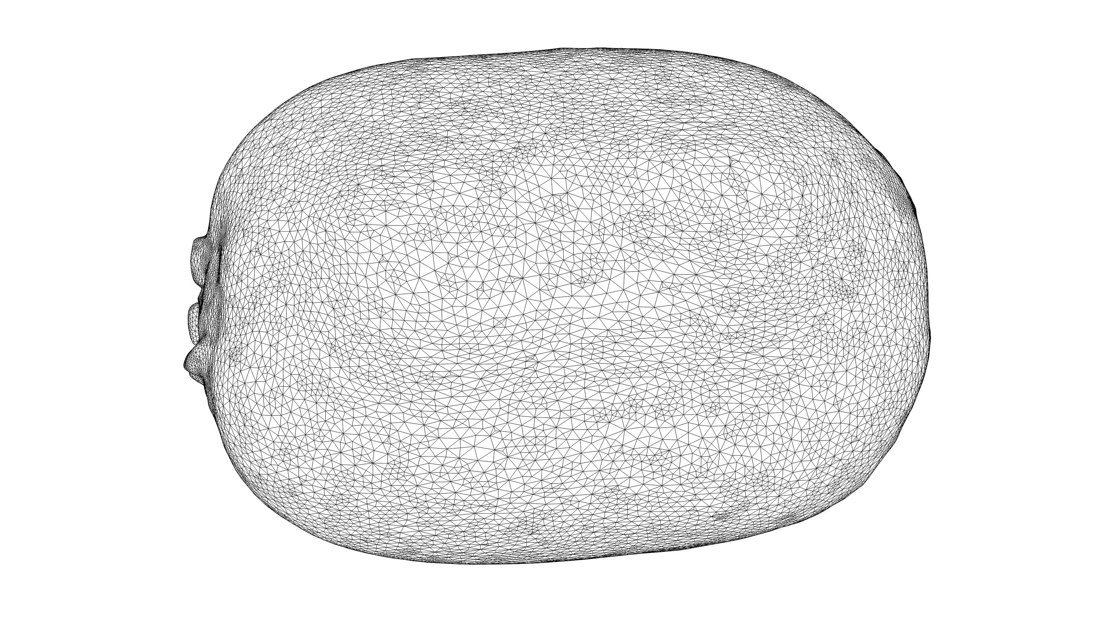 Photorealistic 3D scan of  kiwi Low-poly 3D model_23