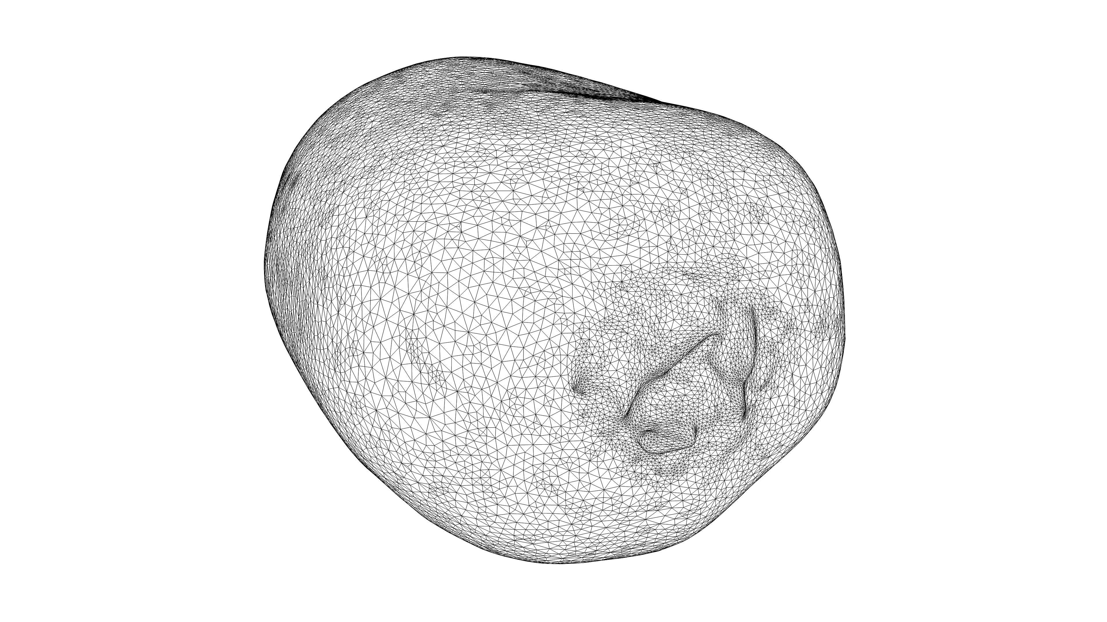 Photorealistic 3D scan of  kiwi Low-poly 3D model_22