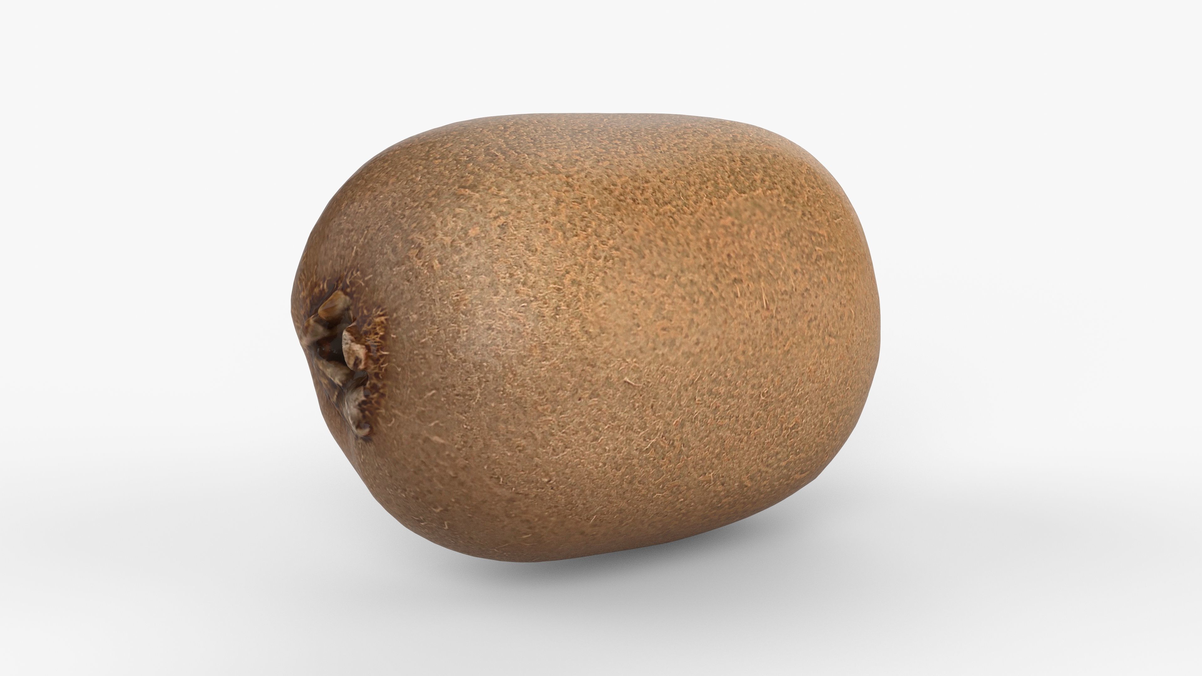 Photorealistic 3D scan of  kiwi Low-poly 3D model_14