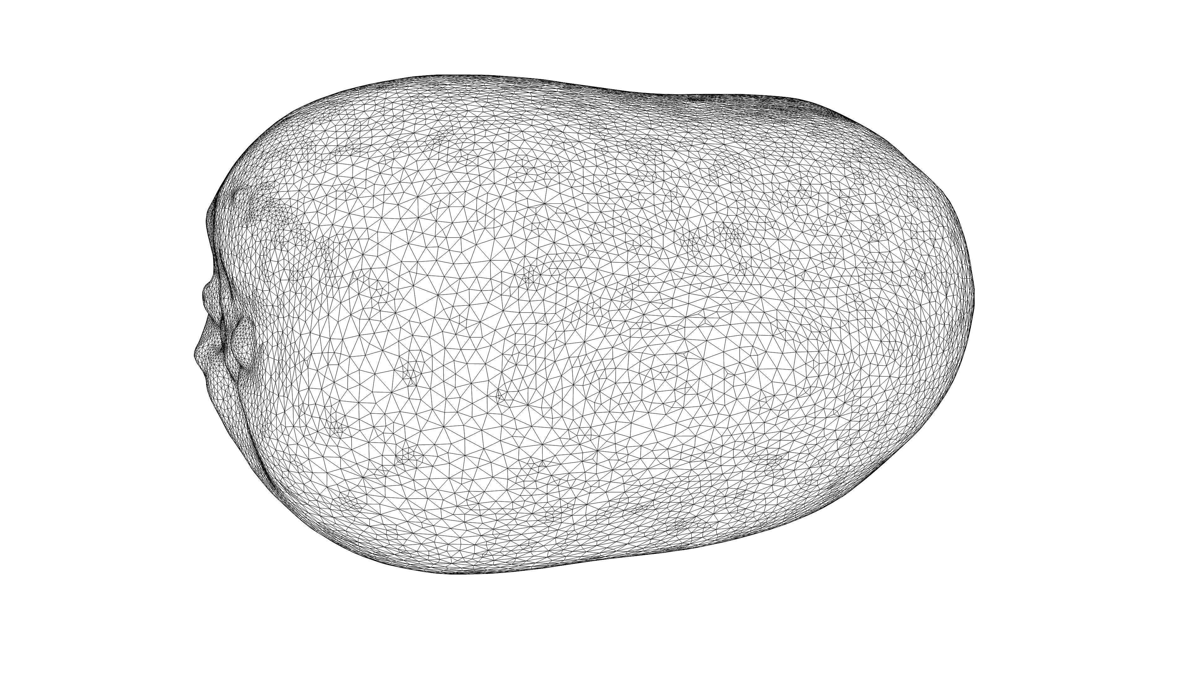 Photorealistic 3D scan of  kiwi Low-poly 3D model_21