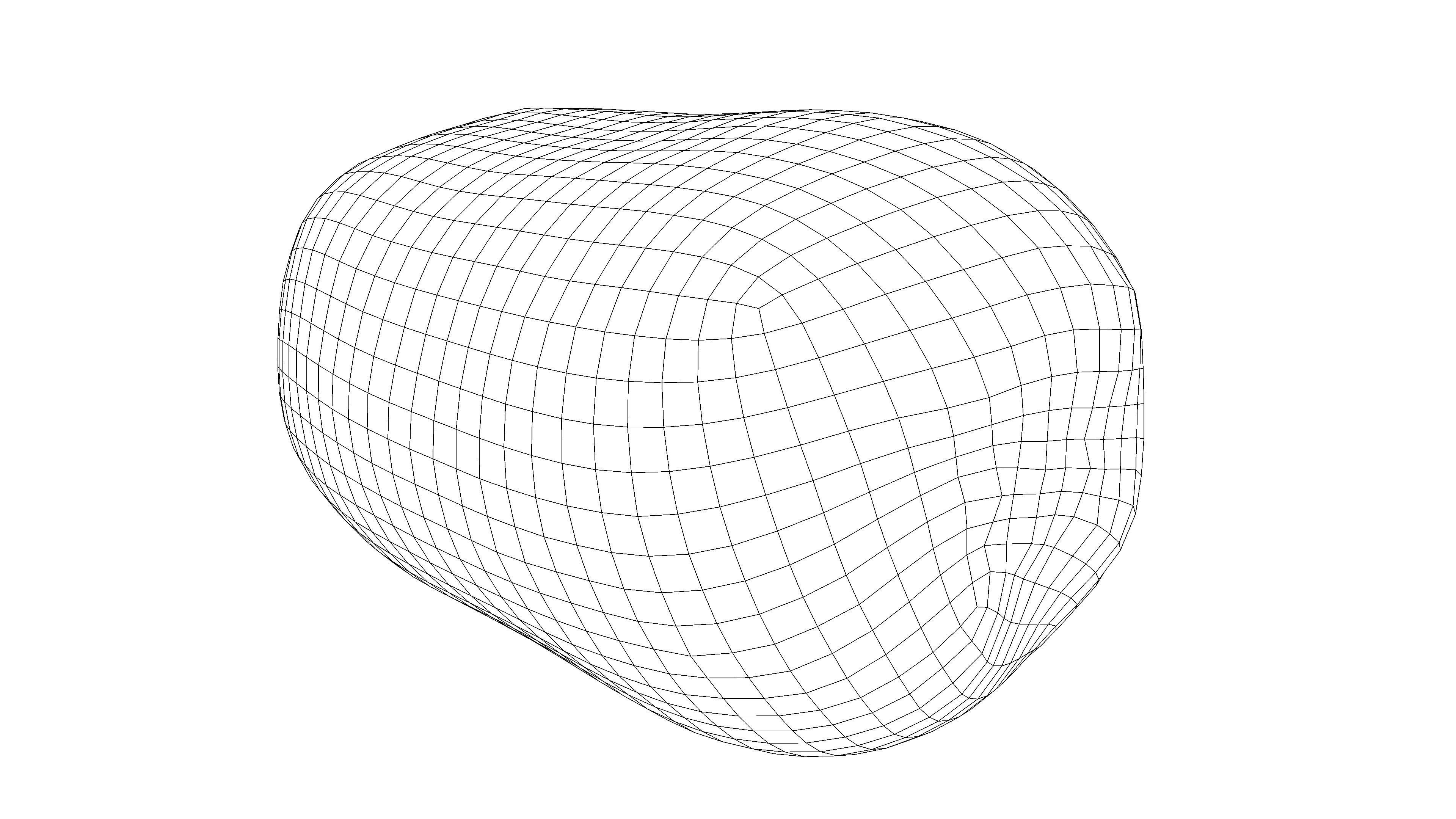 Photorealistic 3D scan of  kiwi Low-poly 3D model_15