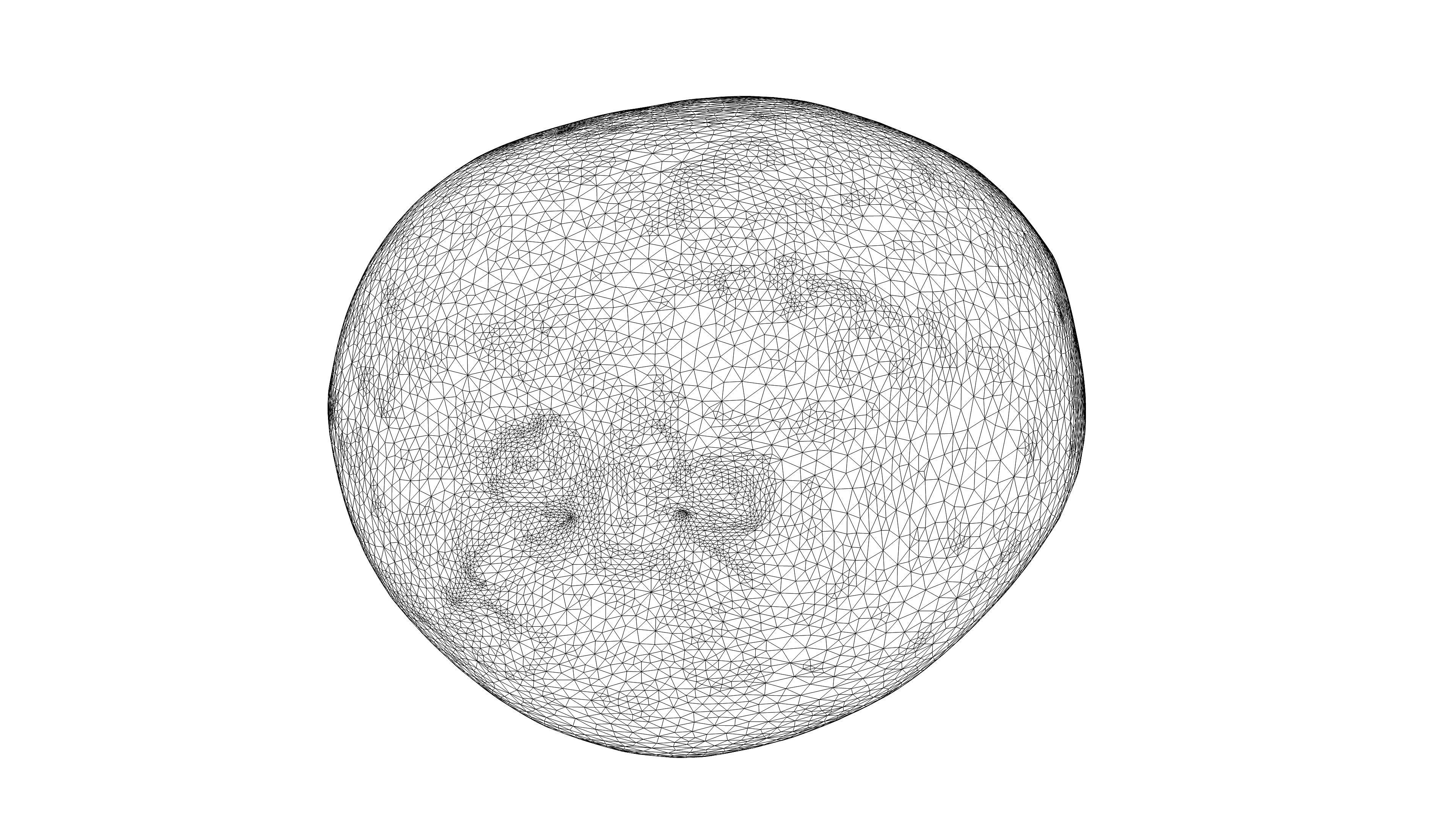 Photorealistic 3D scan of  kiwi Low-poly 3D model_20