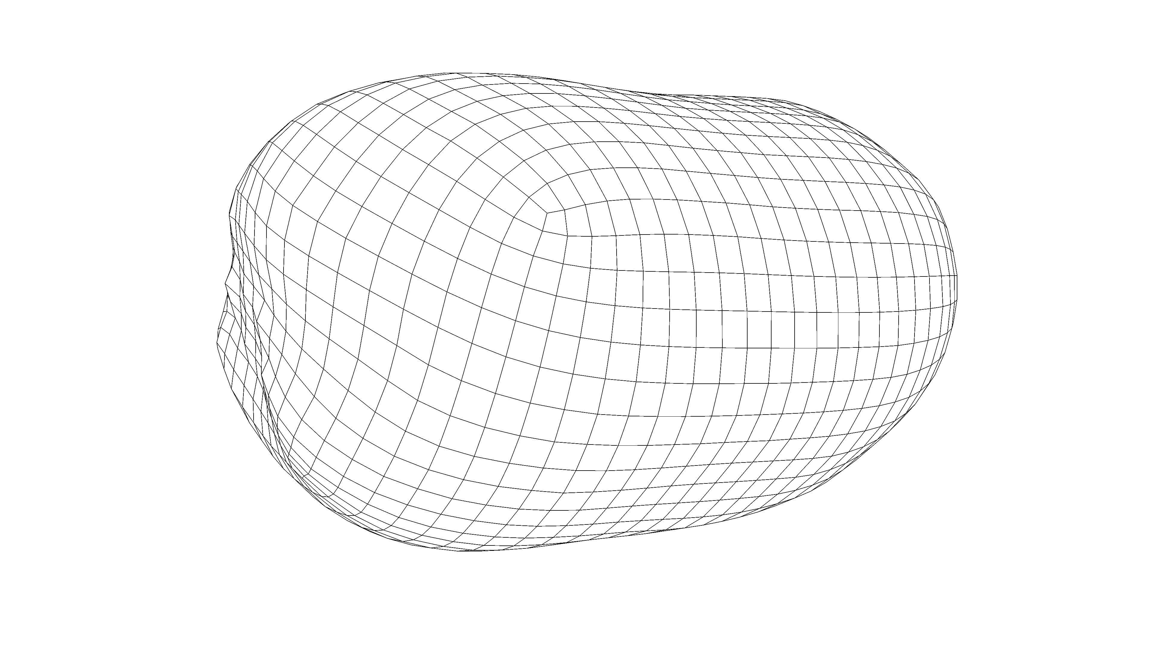 Photorealistic 3D scan of  kiwi Low-poly 3D model_16