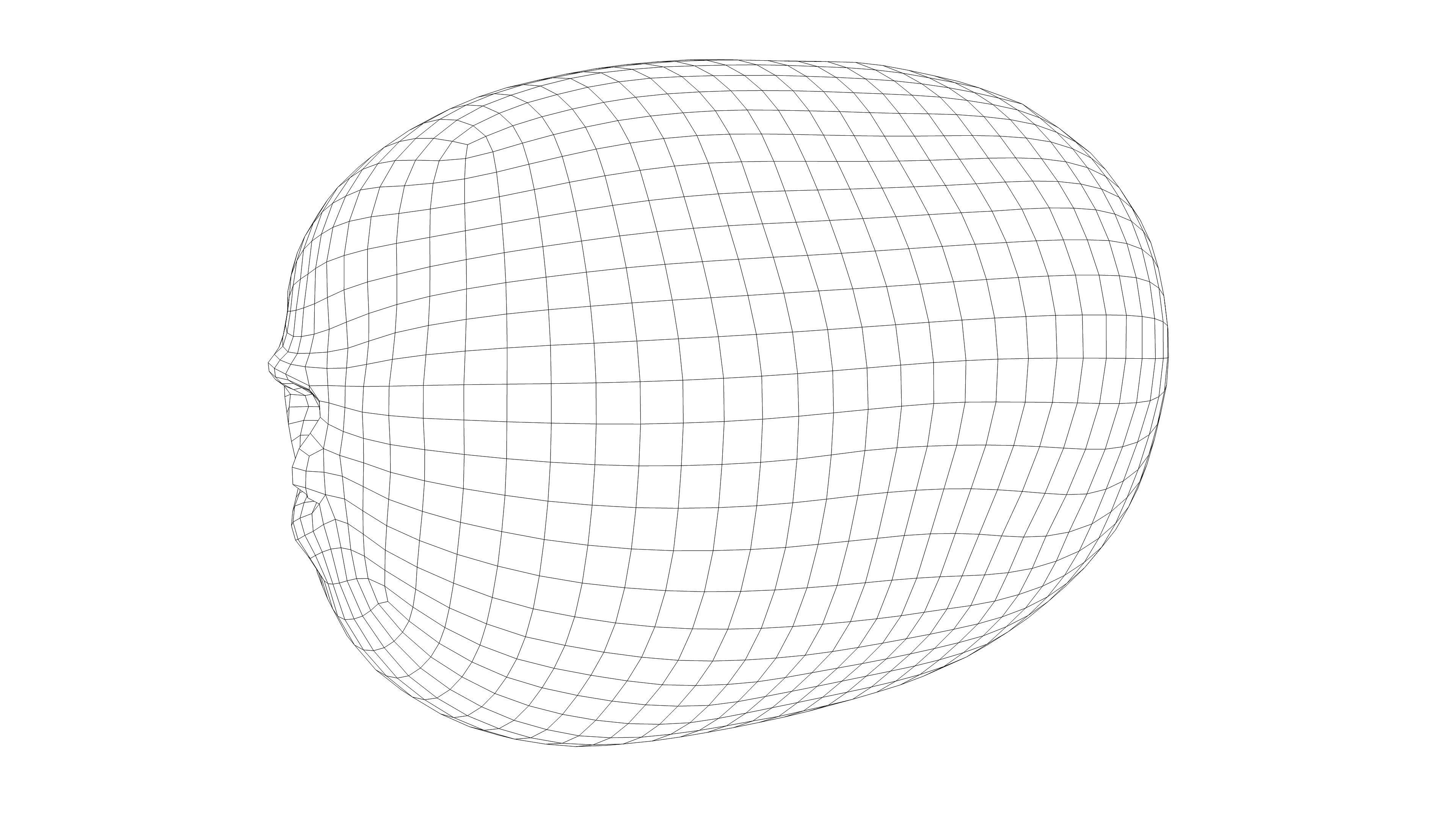 Photorealistic 3D scan of  kiwi Low-poly 3D model_18