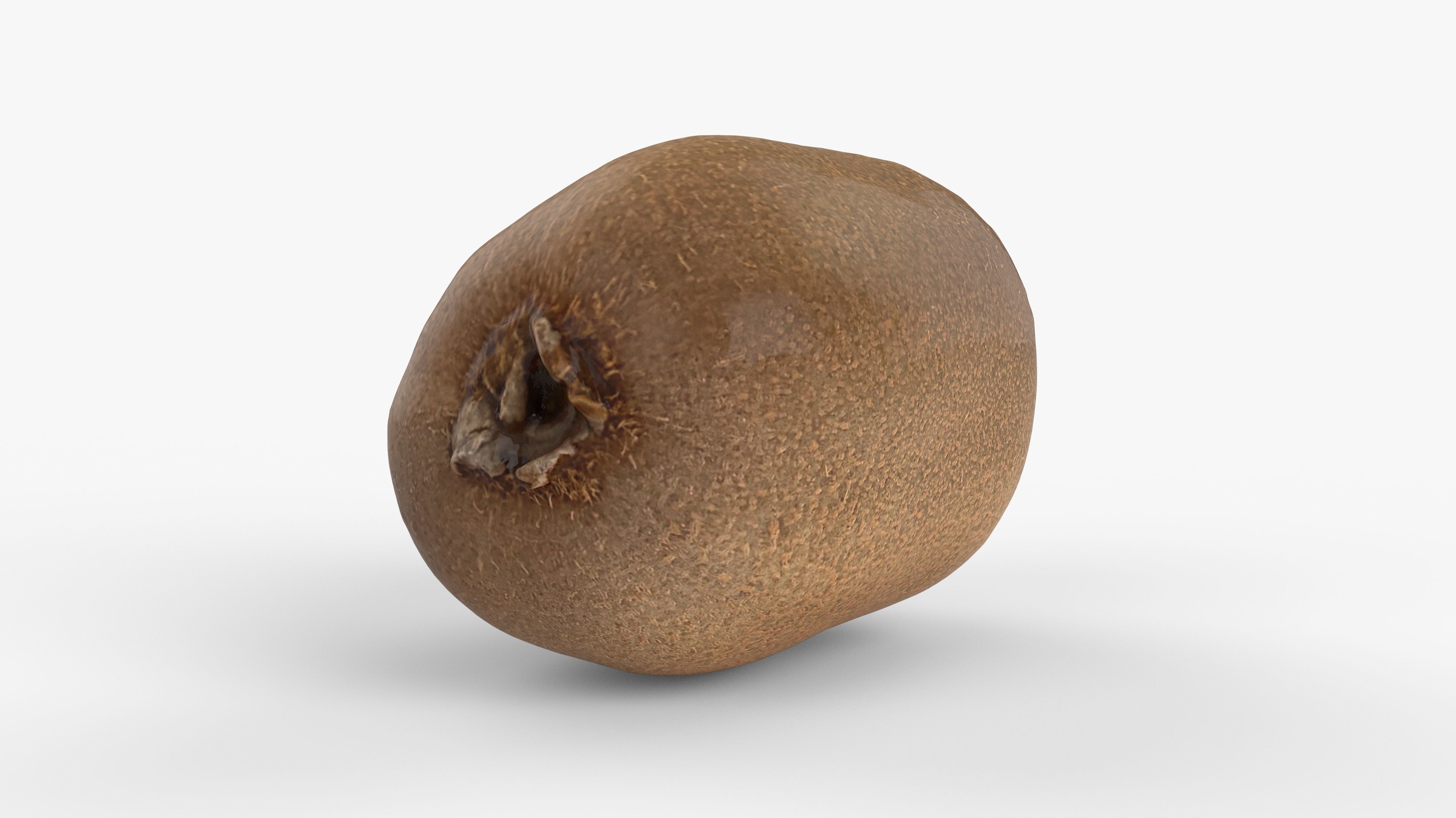 Photorealistic 3D scan of  kiwi Low-poly 3D model_2