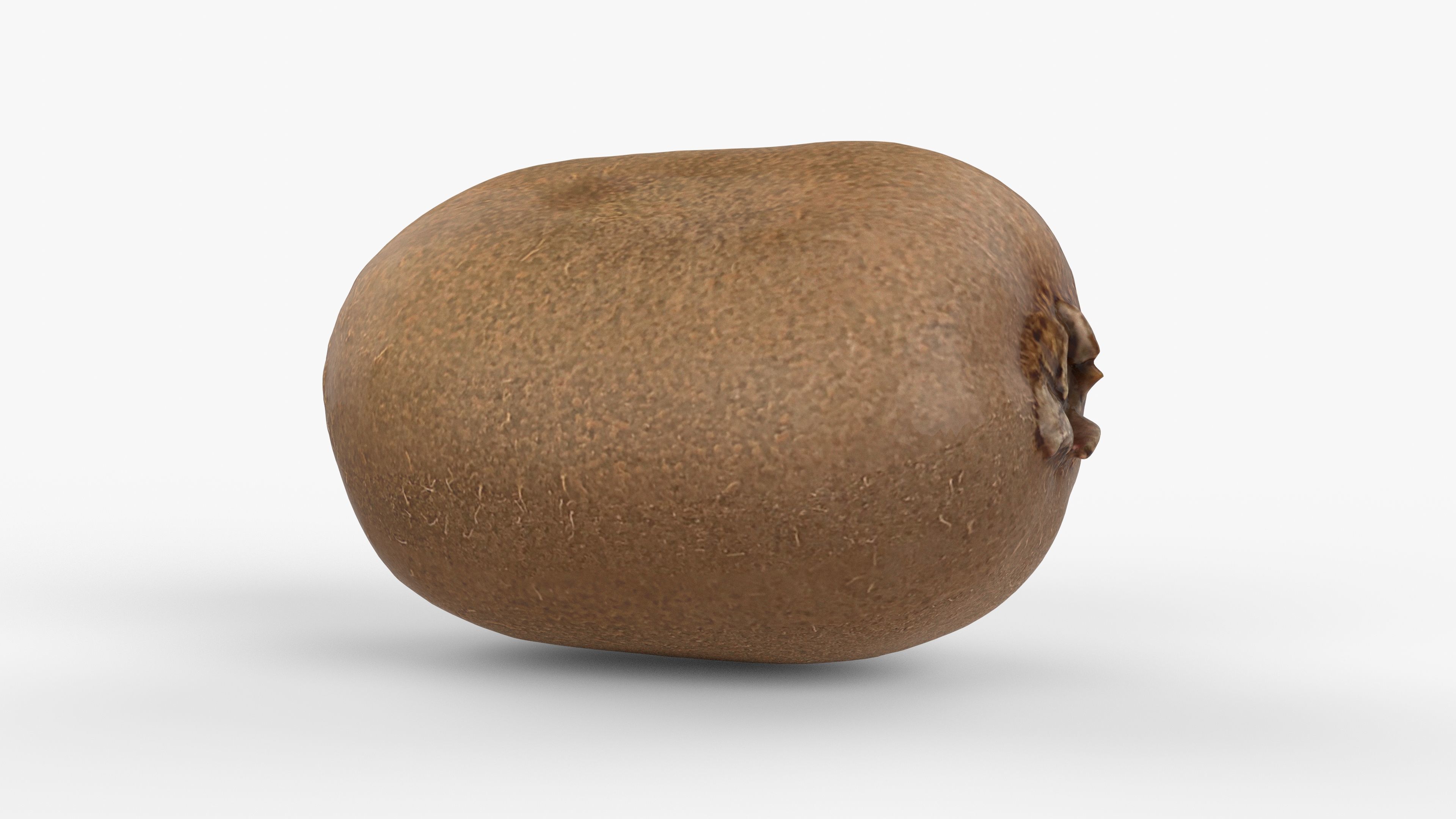 Photorealistic 3D scan of  kiwi Low-poly 3D model_4